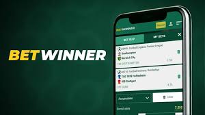 Exploring BetWinner Your Go-To Bookmaker for Online Betting Exploring BetWinner Your Go-To Bookmaker for Online Betting
